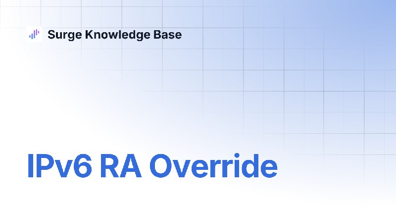 IPv6 RA Override | 中文 | Surge Knowledge Base