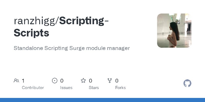 GitHub - ranzhigg/Scripting-Scripts: Standalone Scripting Surge module manager
