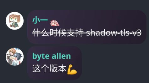 Sub-Store 更新后端 2.16.35- 调整  Egern VMess 传输层 顺便预告下  Egern 将支持 shadow-tls-v3 Sub-Store 合集   频道资源合集   恰饭推荐   群组 #SubStore #更新记录 #changlog #updates