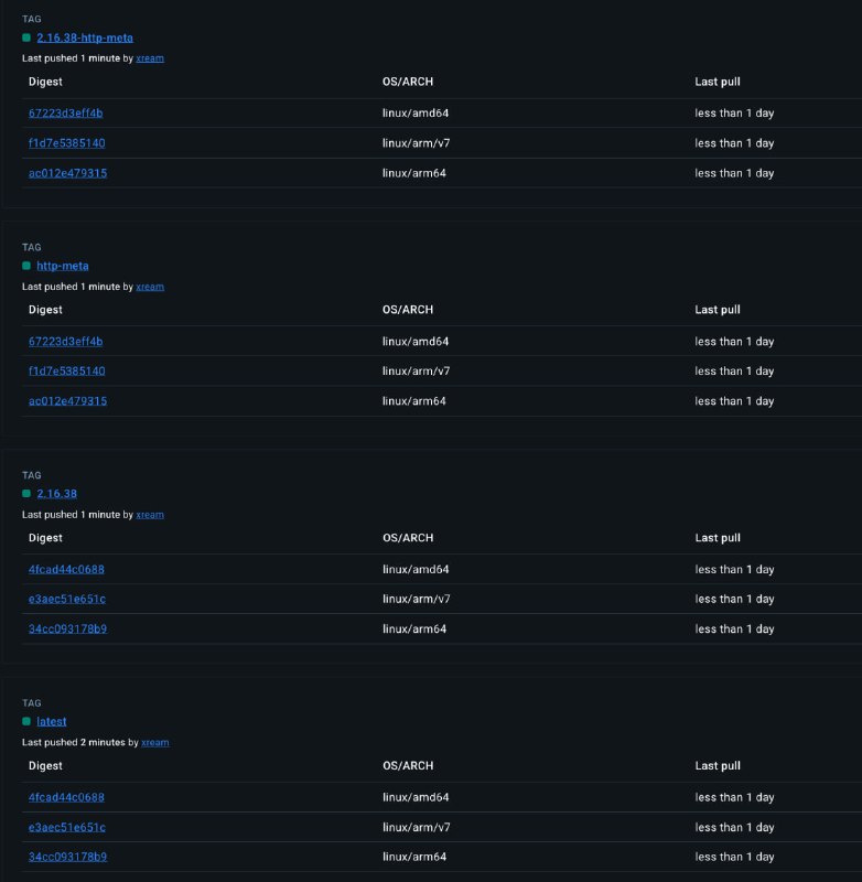 Docker 版 Sub-Store 新增 linux/arm/v7 镜像