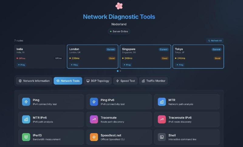Docker 部署多节点 Looking Glass 面板 NetMirror