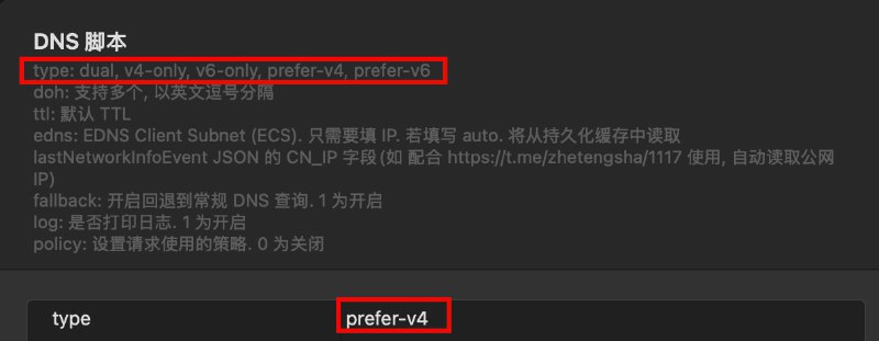 Surge 纯脚本实现 DNS 查询, 支持 EDNS Client Subnet (ECS)🆕 更新 支持 dual, v4-only, v6-only, prefer-v4, prefer-v6请更新模块 & 更新外部资源建议复制模块内容, 自己修改 Host 部分, 按需使用例如: