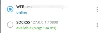 TG 最近新增的实验性功能，支持 真 HTTPS的代理