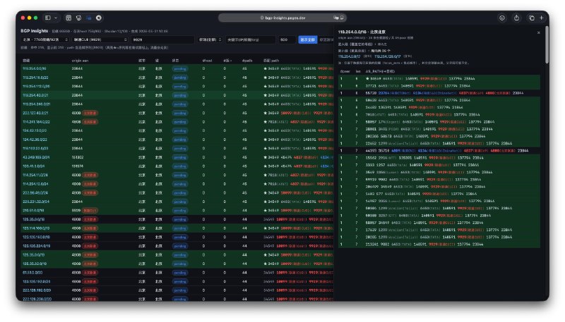 PEER.ASBGP / IP / ASN 信息洞察，类似于bgp.tools但是是全静态版本的所以没有ratelimit之类的东西