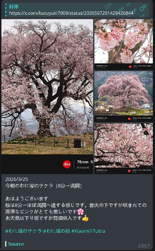  更新聚合解析姬 | @ParseHubot 优化: 媒体组和正文合并发送 优化: 触发 Tg 速率限制时重试 z-mio/ParseHub z-mio/parse_hub_bot